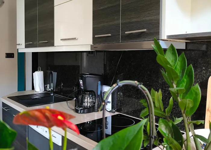 Apartament Urban