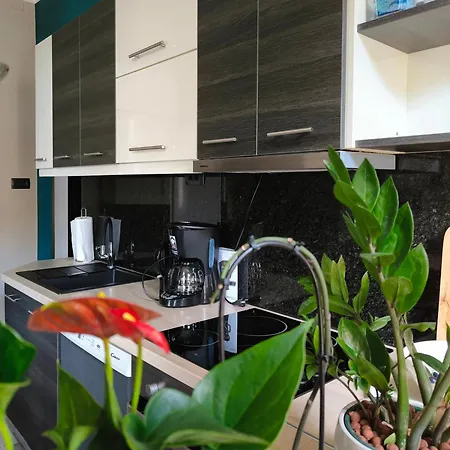 Appartement Urban